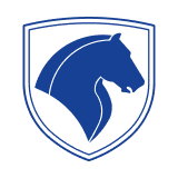 Iran logo